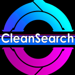 CleanSearch Digital Services SEO & Web Development